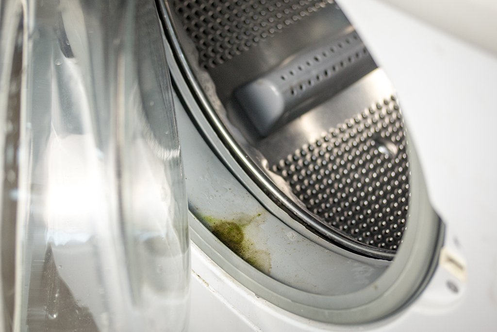 Плесень в стиральной машинке: как ее правильно убрать