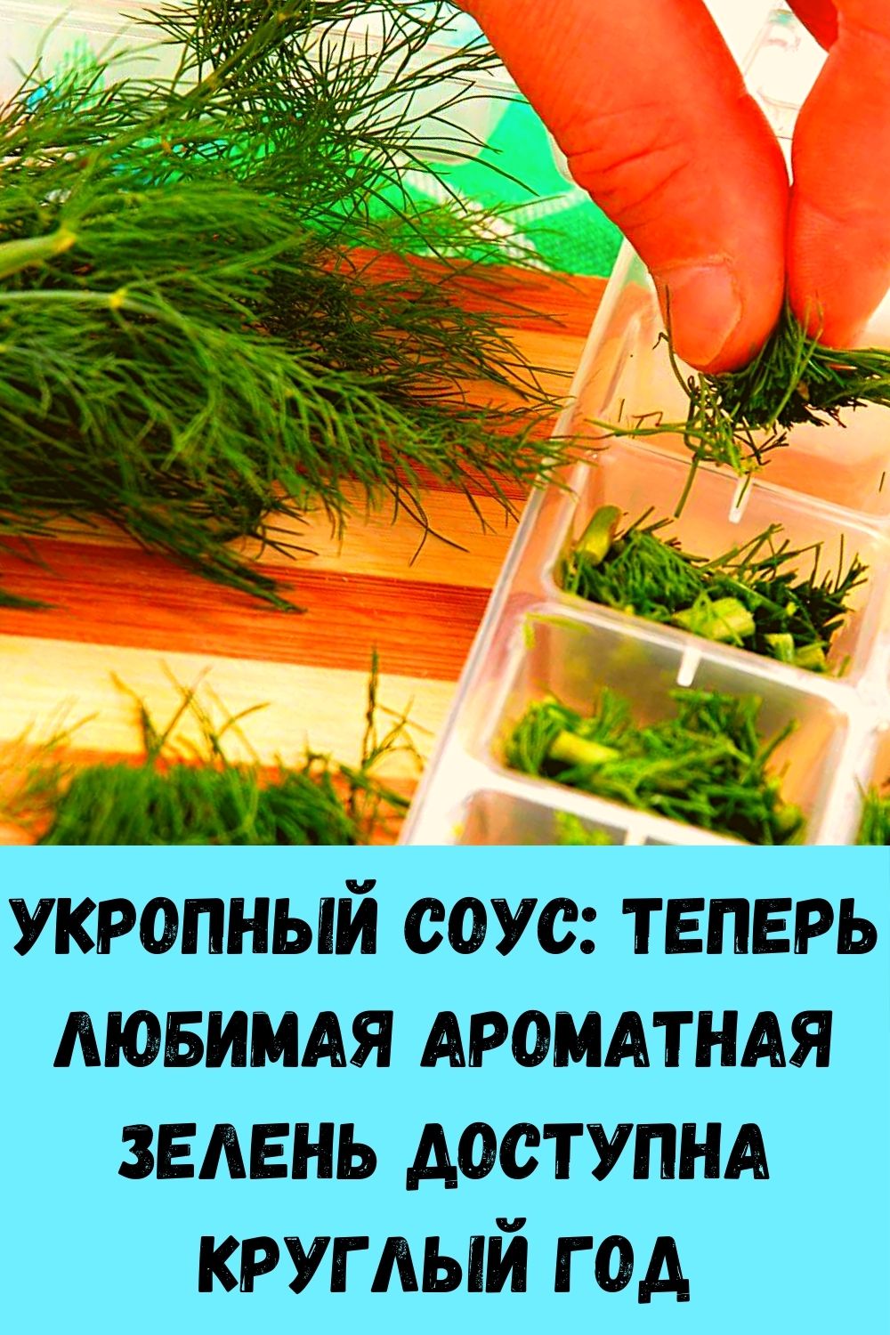 Укропный соус: теперь любимая ароматная зелень доступна круглый год