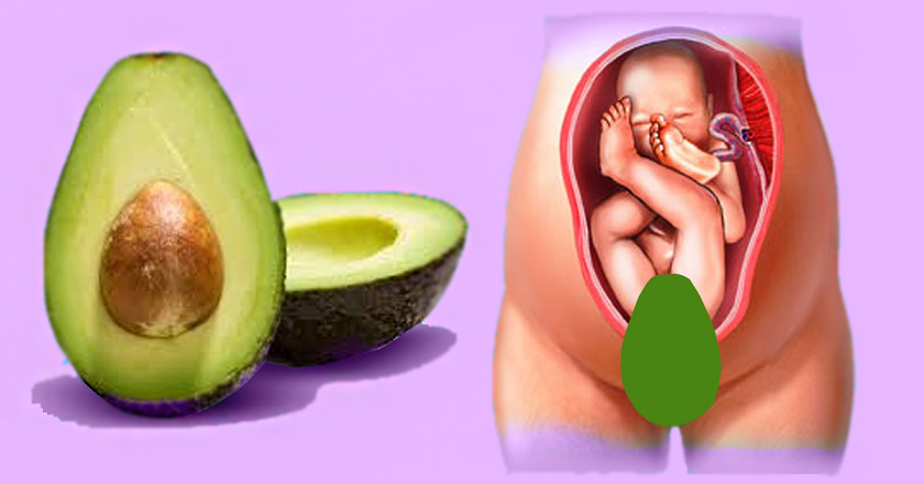 Авокадо имеет ту же форму, что и матка у женщин и это не просто так!