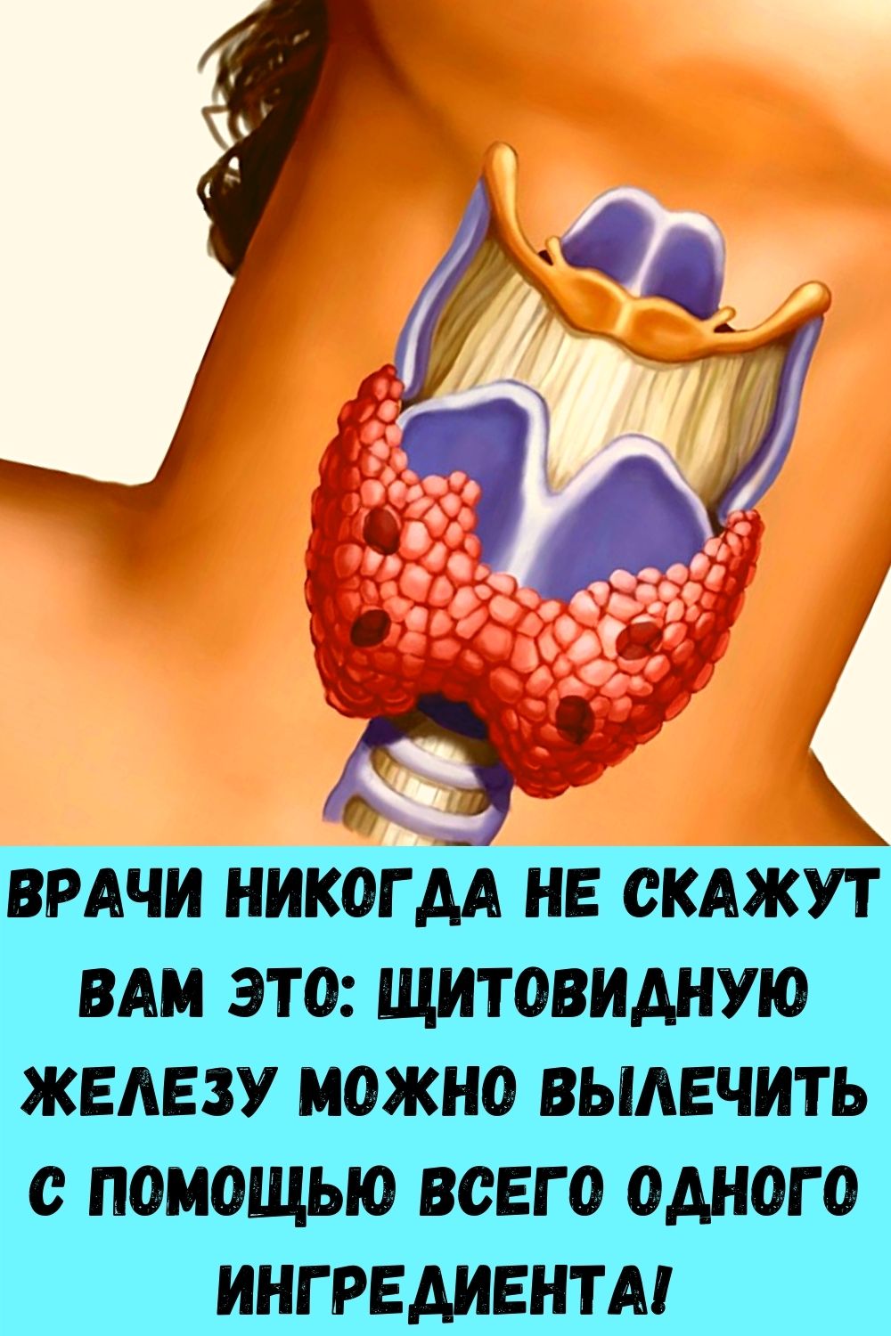 Народное лечение узлов щитовидной железы. Проверьте щитовидную железу. Жжение в щитовидной железе. Щитовидная железа у женщин.