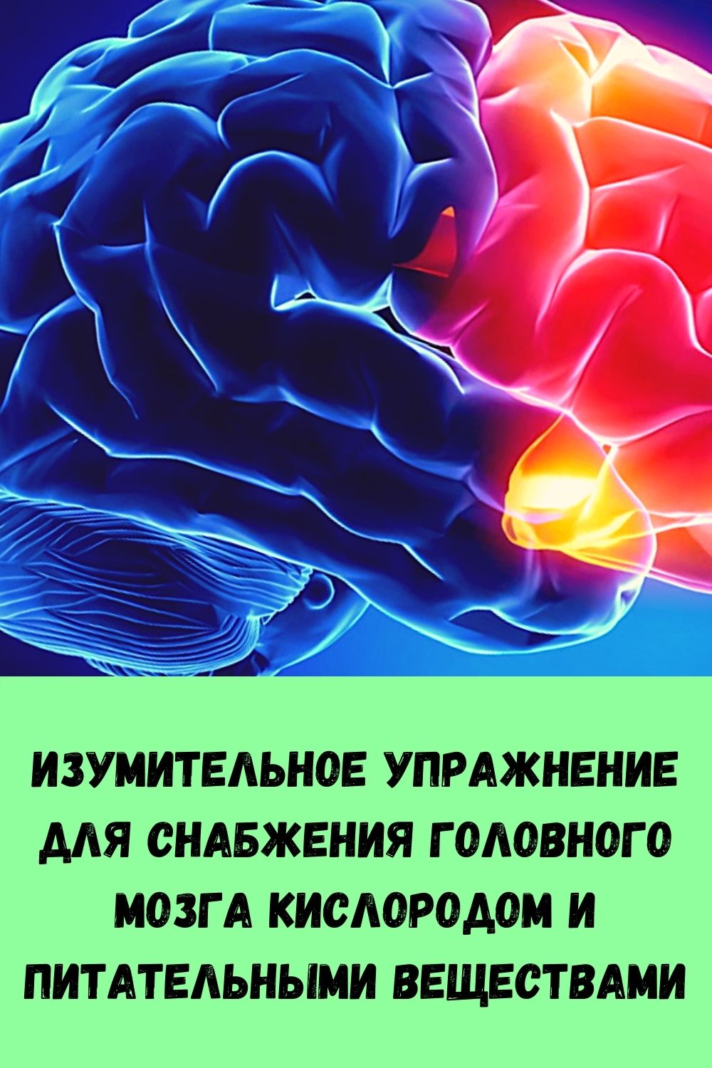 Снабжение мозга кислородом. Упражнения для насыщения кислородом головного мозга. Препараты для кислорода в мозг.