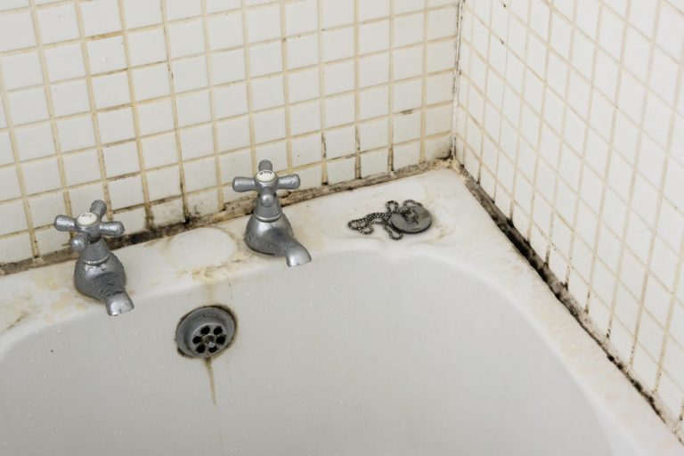 Как правильно удалить черную плесень в ванной