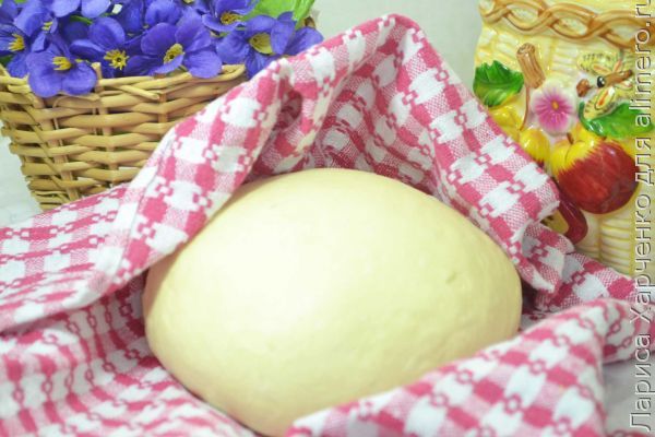 👌 Бездрожжевое тесто на кефире для пирожков, рецепты с фото