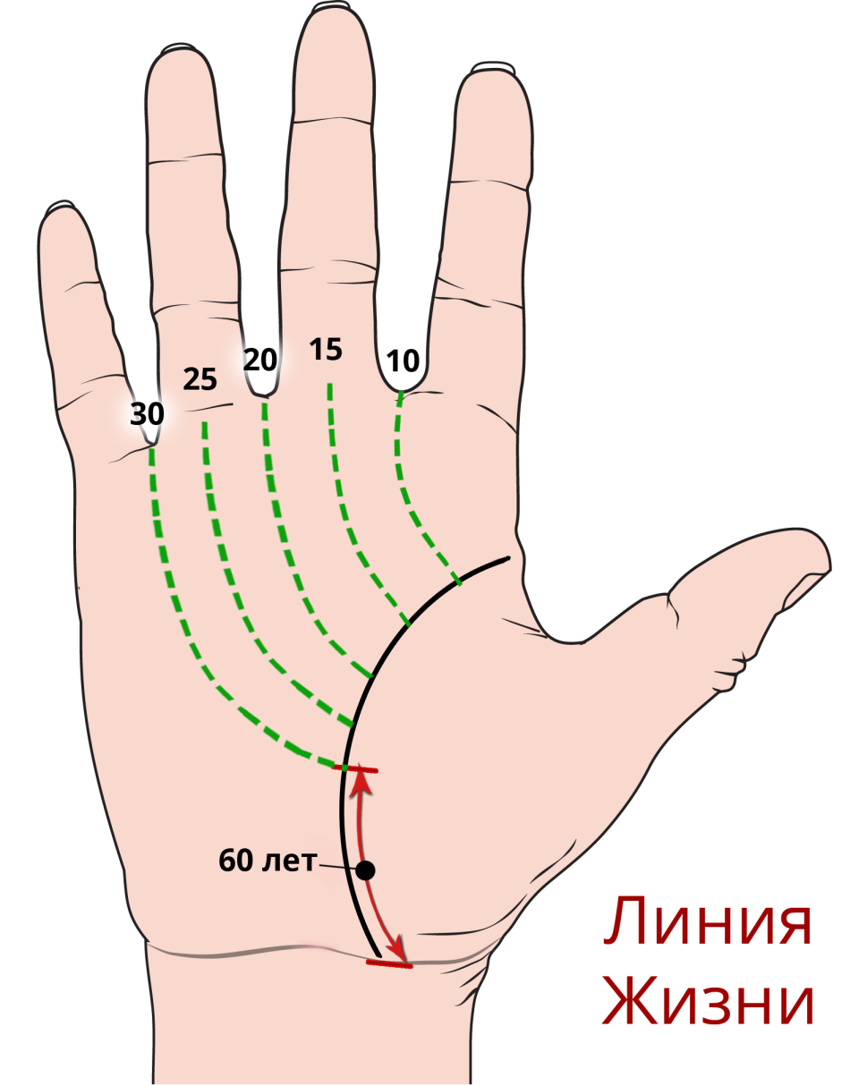 По фото узнать судьбу