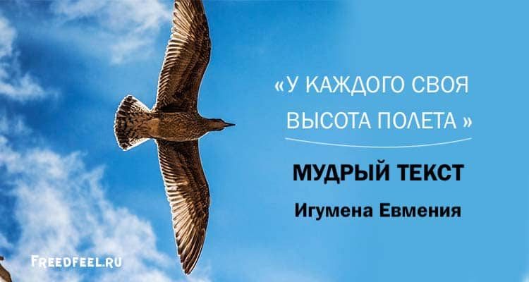 «У каждого своя высота полёта» — мудрый текст Игумена Евмения